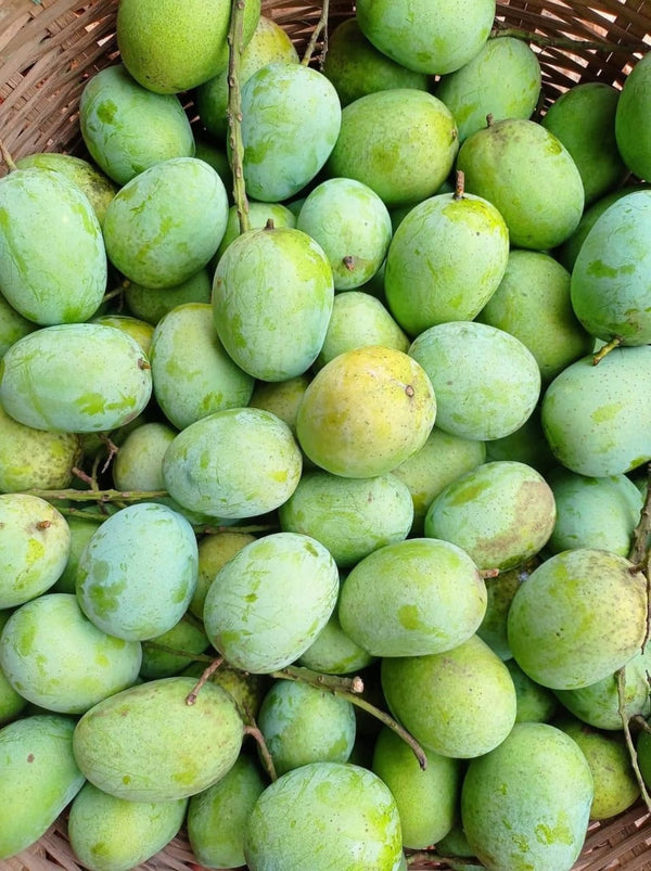 ল্যাংড়া আম