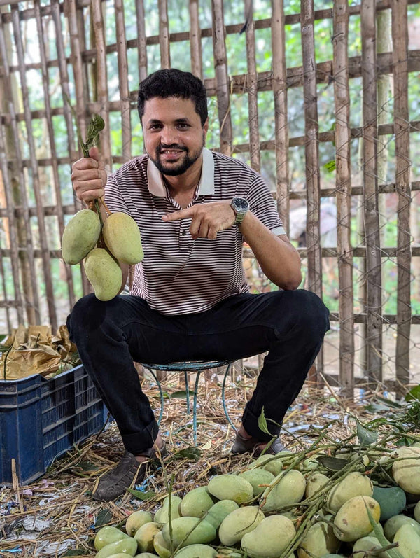 আম্রপালি আম